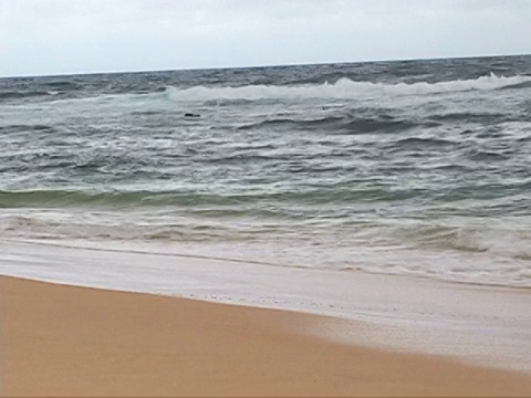 空荡荡的海滩上的海浪视频素材