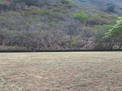 两岁吹泡泡视频素材