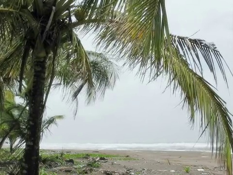 暴风雨的海滩(朋友)视频素材