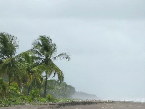 暴风雨的海滩(朋友)视频素材