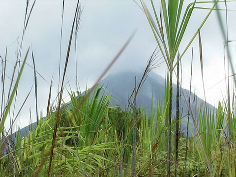 火山(朋友)视频素材