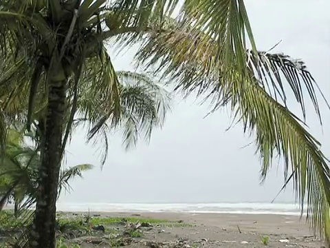 暴风雨的海滩视频素材