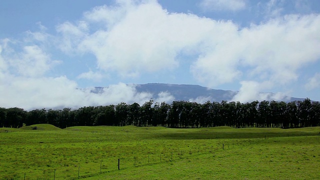 WS T/L以山为背景的莫纳克亚山/ Waimea， (Kamuela)，夏威夷，大岛，美国视频素材