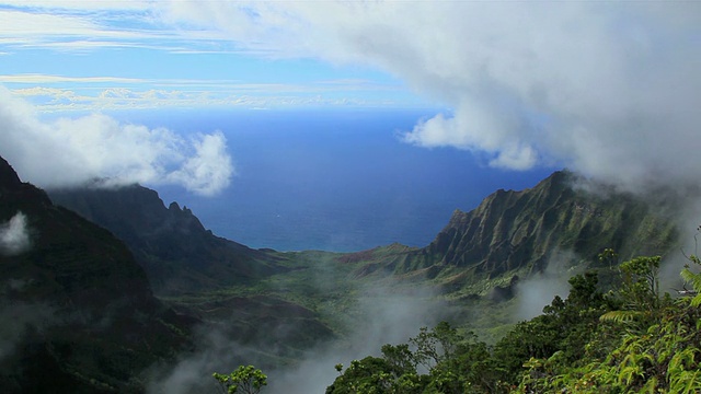 从Puu O Kila观看Kalalau山谷，背景是Napali海岸/ Waimea, Kalalau山谷，考艾岛，夏威夷，美国视频素材