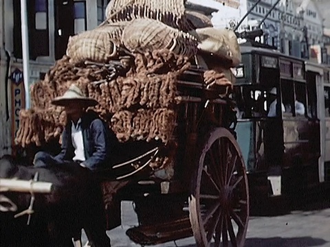 1939年，在繁忙的道路上拉车的公牛/新加坡视频素材