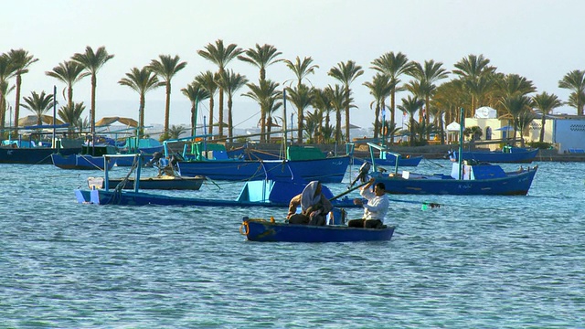 渔民坐在红海海湾的小船上，背景是棕榈树/赫尔加达，红海海岸，埃及视频素材