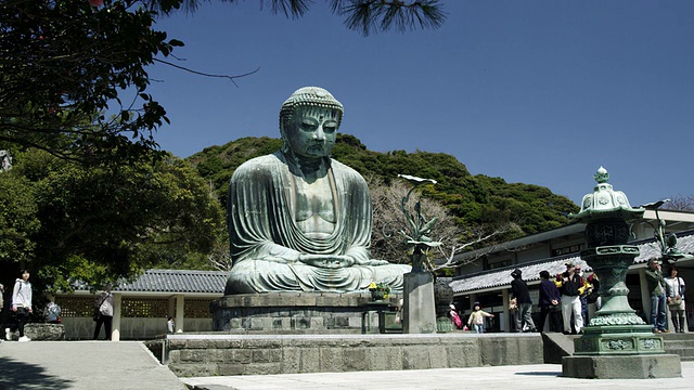 日本神奈川县镰仓琴德寺大佛观视频素材