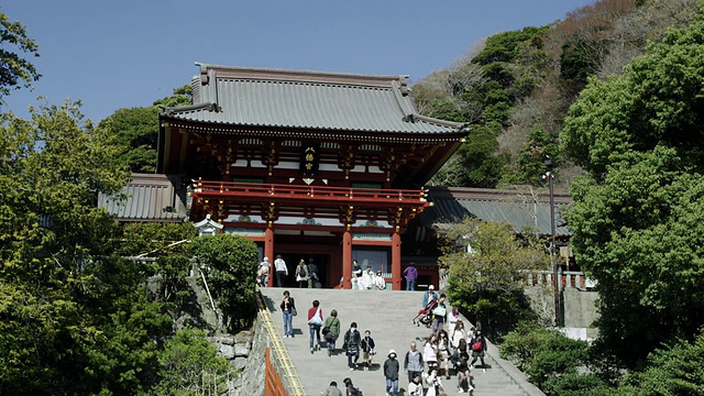 日本神奈川县鹤冈八幡神社(Kamakura)游客观视频素材