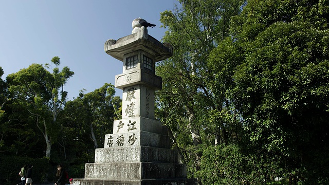 鹤冈八幡神社石灯/镰仓，神奈川，日本视频素材