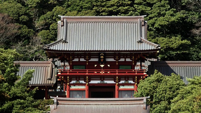 Tsurugaoka Hachimangu Shrine / Kamakura，神奈川，日本视频素材