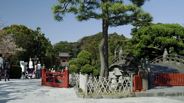 鹤冈八幡神社大门/镰仓，神奈川县，日本视频素材