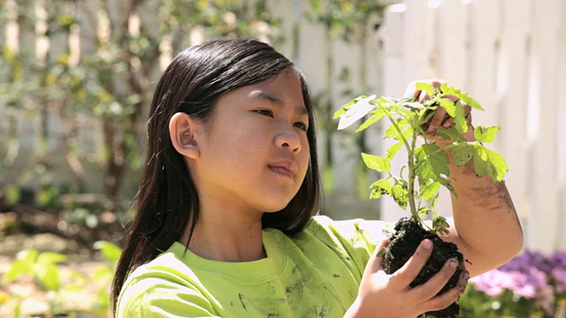 CU WS TD女孩种植有机幼苗/美国弗吉尼亚州里士满视频素材