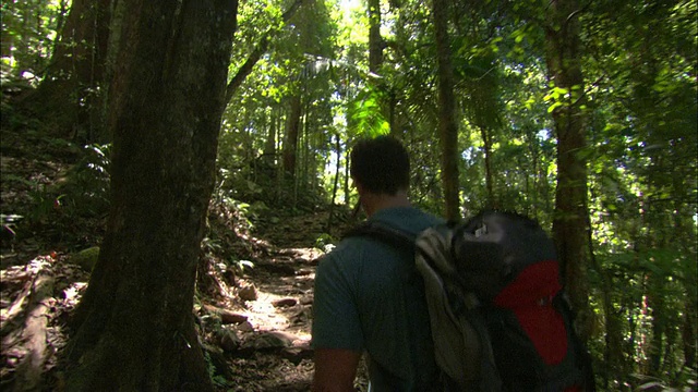 中等近距离手提式-一个徒步旅行者旅行在一个岩石小径/大堡礁，澳大利亚视频素材