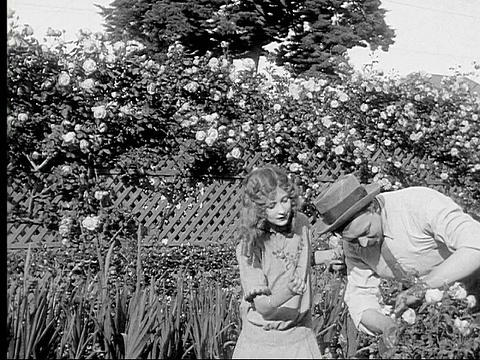 1913年，在美国花园，中等大小的照片，父亲为女孩剪玫瑰视频素材