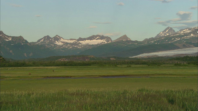 草地和雪山，卡特迈国家公园，阿拉斯加，美国视频素材