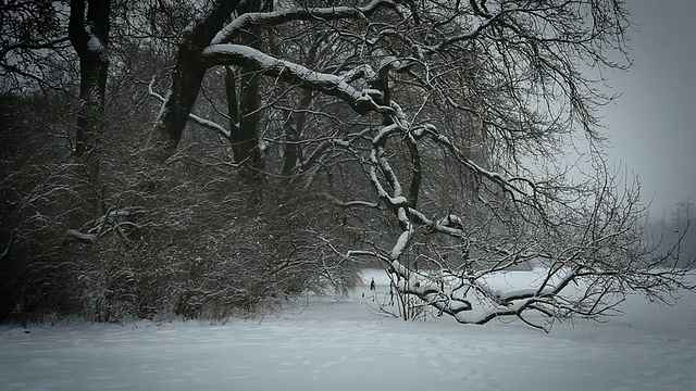 傍晚的雪景视频素材