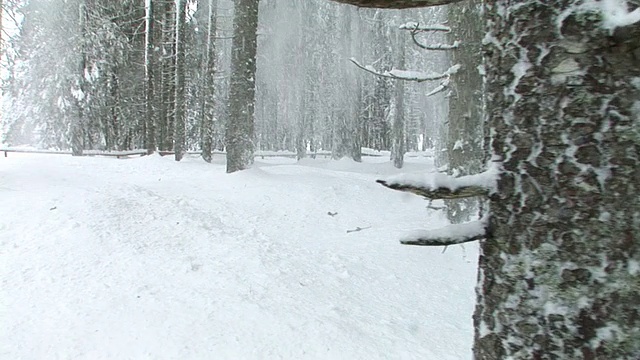 HD STEADYCAM:飘落的雪视频素材