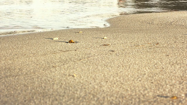 海滩特写，浪花飞溅视频素材