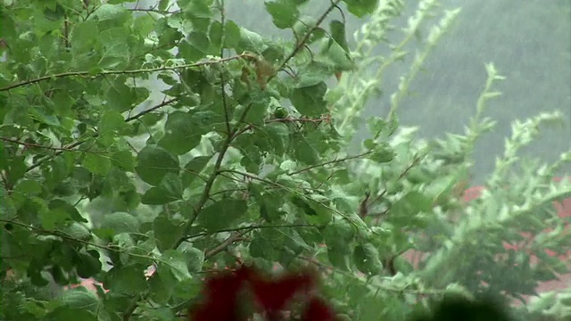 高清:暴风雨天气视频素材