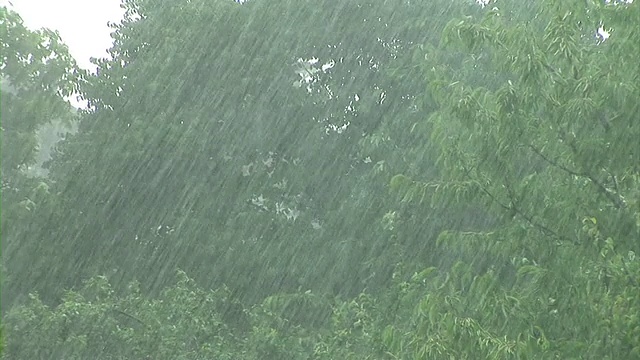 高清:暴风雨天气视频素材