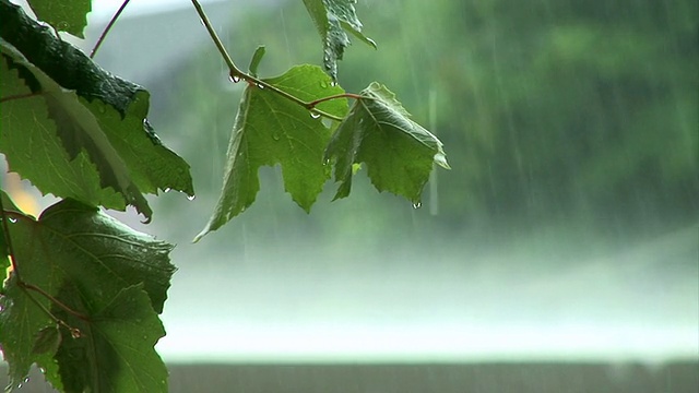 高清:暴风雨天气视频素材