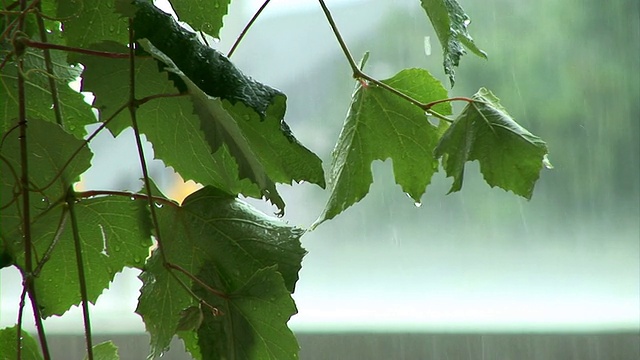 高清:暴风雨天气视频素材