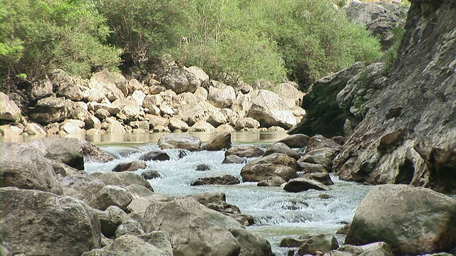 你驱逐了流视频素材