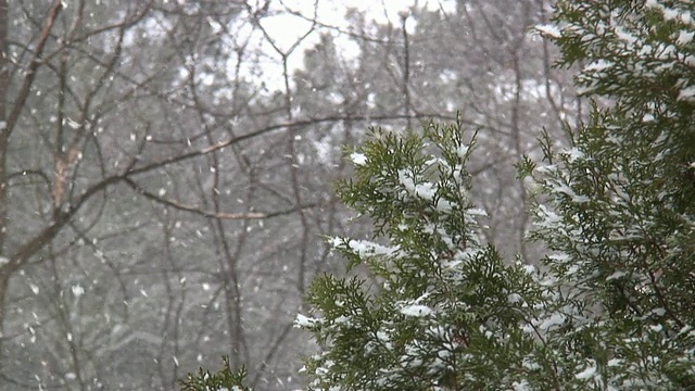 雪再次- HD 1080/60i视频素材