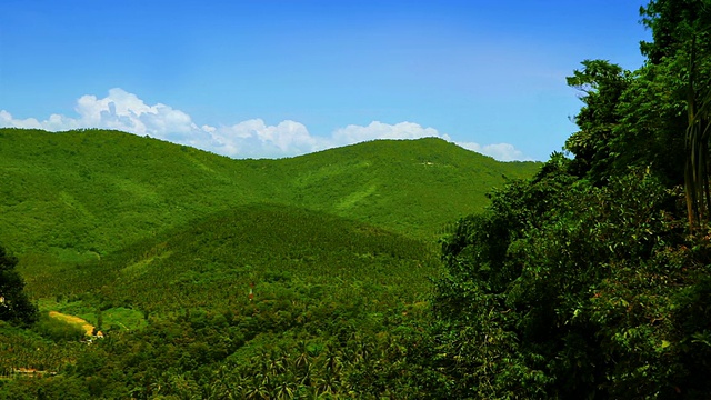 山视频素材