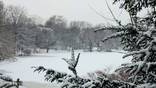 雪的风景视频素材