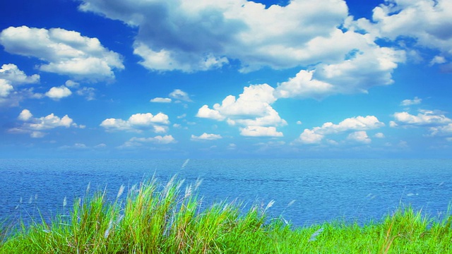 草，池塘和天空视频素材