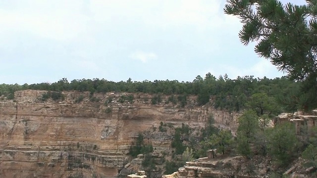 雄鹰在大峡谷上空翱翔视频素材