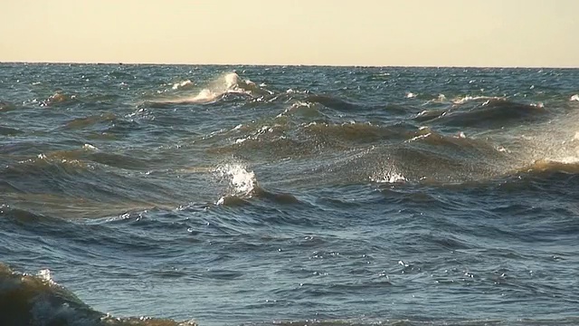 海浪和海鸥视频素材