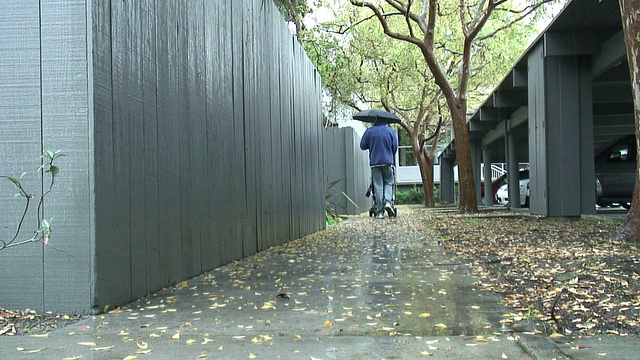 冬天的雨走开视频素材