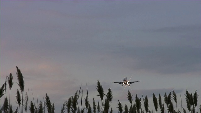 航空。系列飞机降落，起飞，跑道。密歇根州底特律机场。视频素材