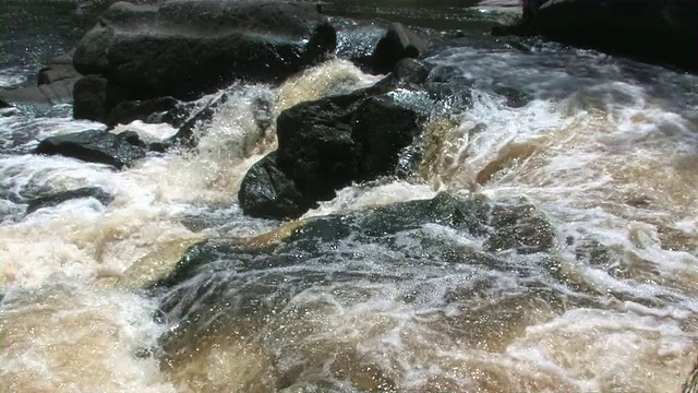 河路2视频素材