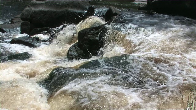 河路2视频素材