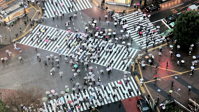 在日本东京，一群人正穿过涩谷时尚购物和娱乐区中心著名的人行横道视频素材