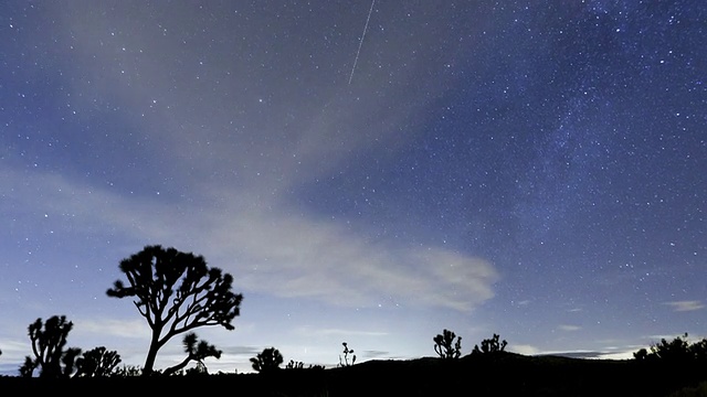 MS TU T/L沙漠景观的夜空/约书亚树国家公园，CA，美国视频素材