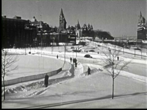 加拿大渥太华，大雪中步行回家的人们视频素材