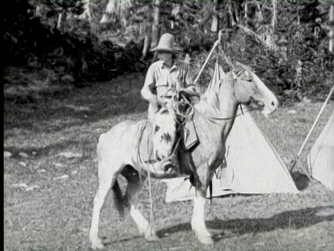 B/W CU WS向导头和人坐在马上的看法音频/蒙大拿，美国视频素材