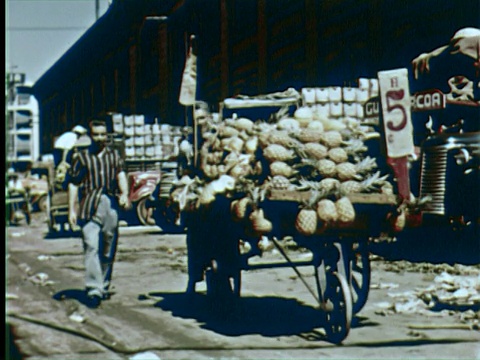 MS View of food market音频/哈瓦那，古巴视频素材