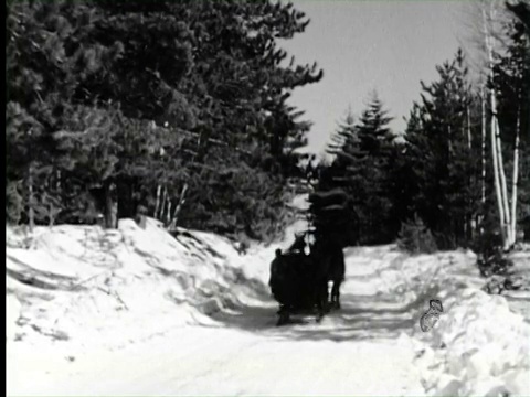 B/W POV CU人们坐在马车上，在雪地里享受，纽约/音频视频素材