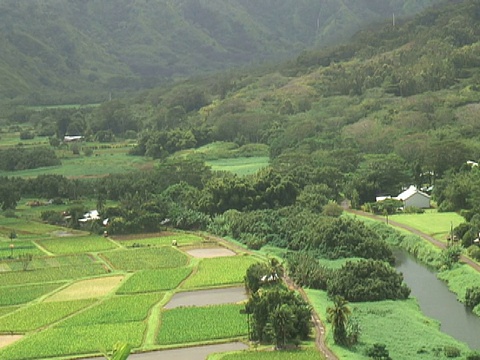 美丽郁郁葱葱的绿色山谷，推河视频素材