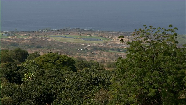 慢慢地从咖啡豆种植园和海岸上飞出来。视频素材