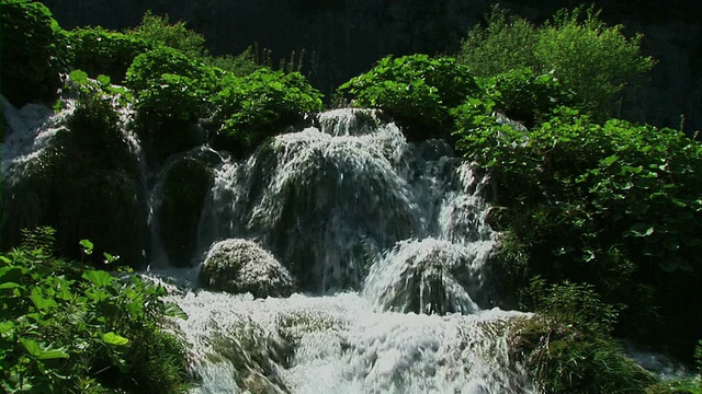 流在森林视频素材