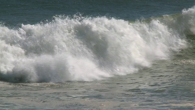 游泳的Cape fur seals (Arctocephalus pusillus)， Cape Cross，纳米比亚视频素材