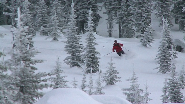 SLO MO catskiing powder / rosland，不列颠哥伦比亚省，加拿大视频素材