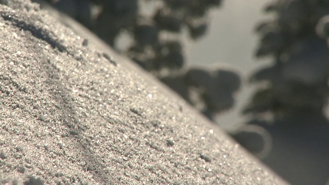 树上的雪R/F到地上的雪/金色，不列颠哥伦比亚，加拿大视频素材