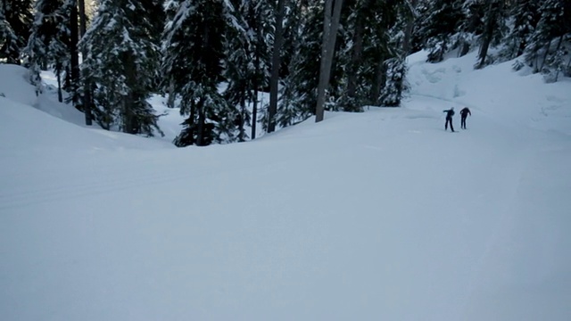 WS POV SLO MO男子和女子滑雪在雪/惠斯勒，BC，加拿大视频素材